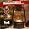 Cardinal Snow Globe Christmas Decorations Indoor, Lighted Musical Christmas Snow Globes Lantern with Glitter & 6H Timer, Cardinal Christmas Decorations for Home